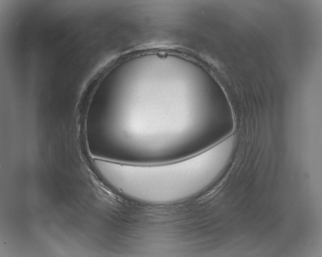 X0000073491406200607310905