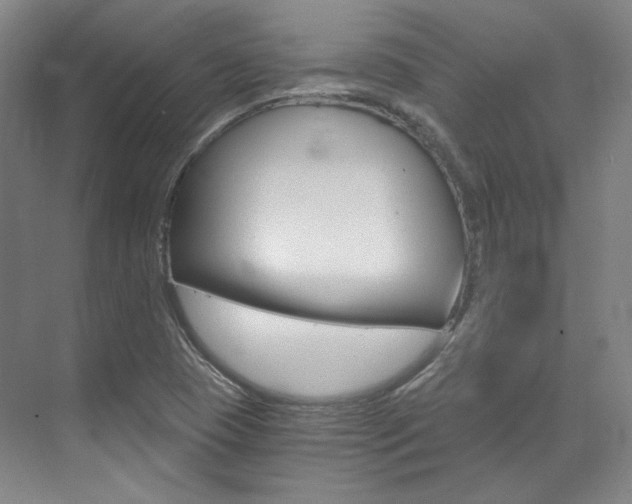 X0000073491409200607310905