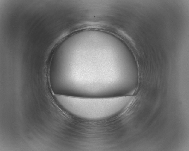 X0000073491411200607310905
