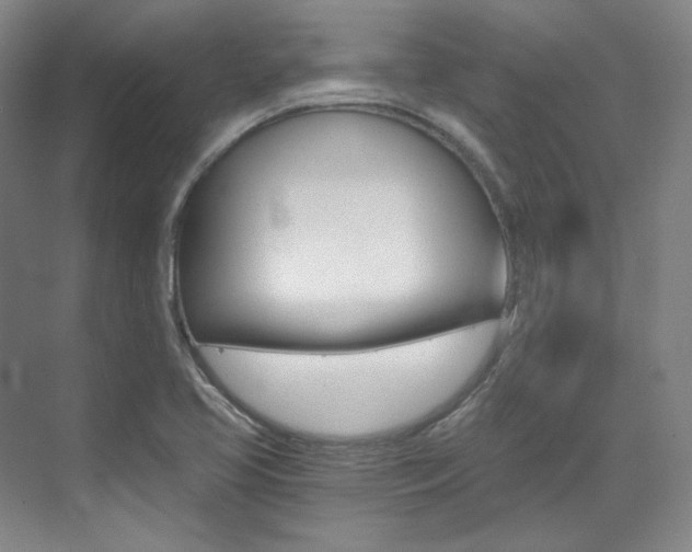 X0000073491413200607310905
