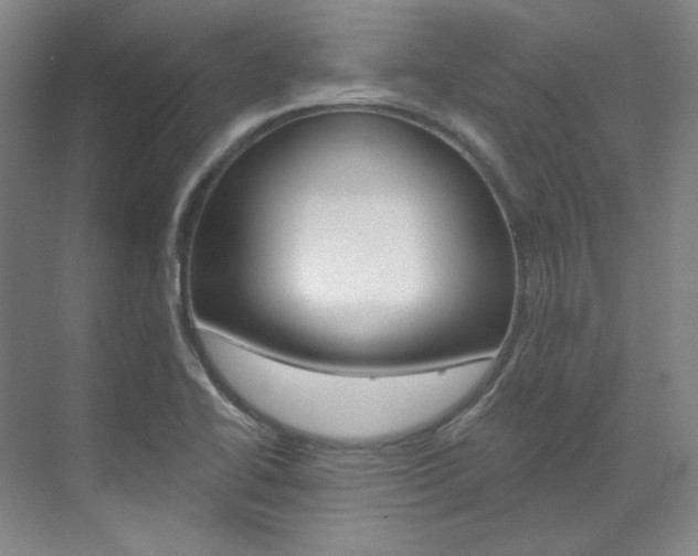 X0000073491414200607310905