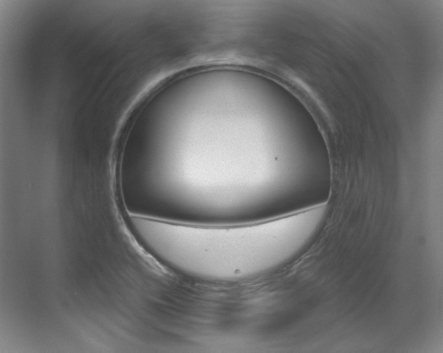 X0000073491416200607310905