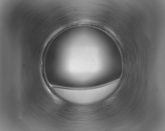 X0000073491418200607310905