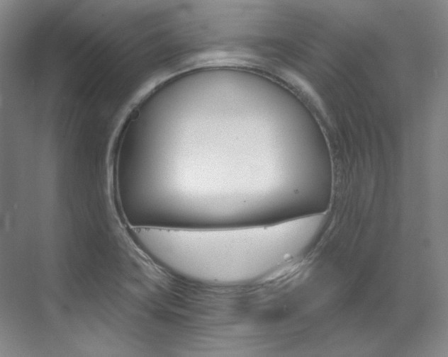 X0000073491419200607310905