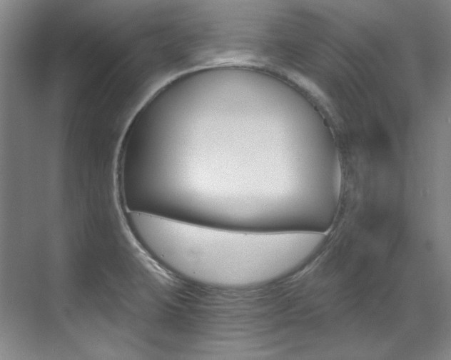 X0000073491423200607310905