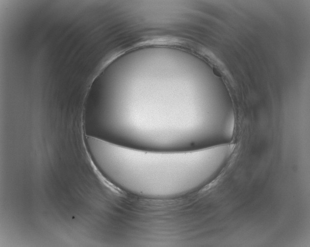 X0000073491425200607310905