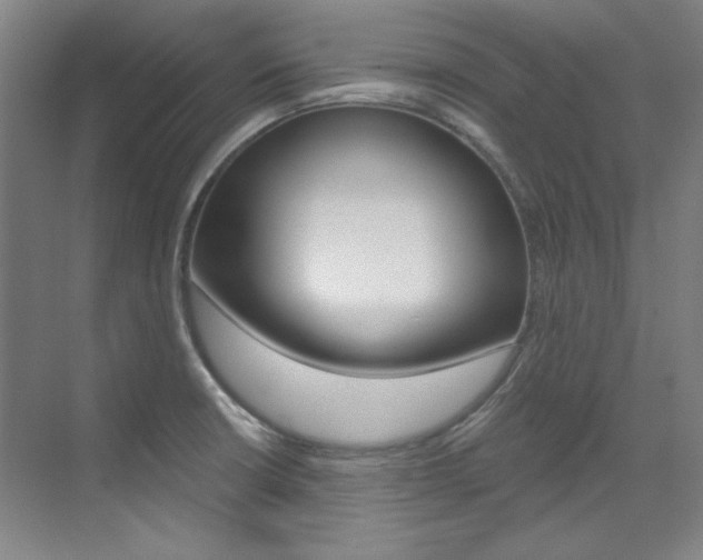 X0000073491426200607310905