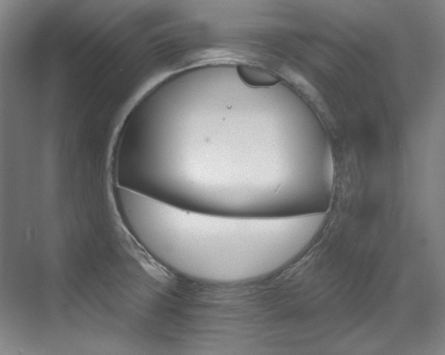 X0000073491427200607310905