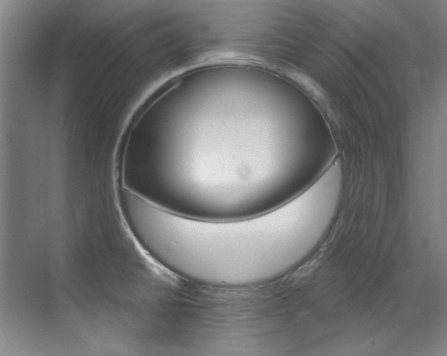 X0000073491430200607310905