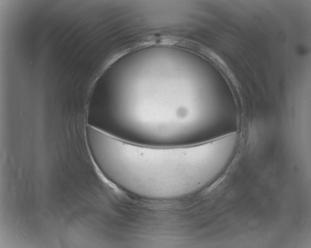 X0000073491433200607310905