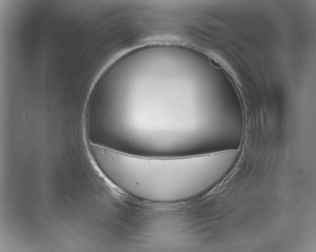 X0000073491440200607310905