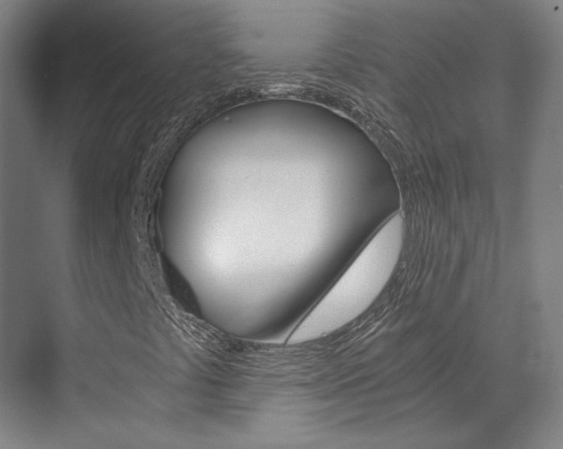 X0000073491441200607310905