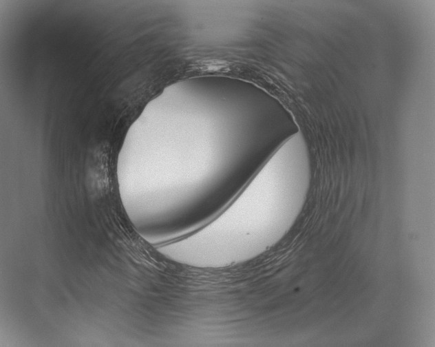 X0000073491442200607310904