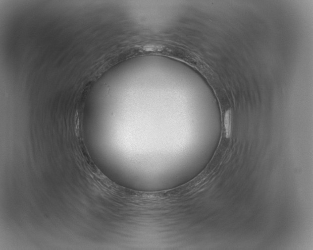 X0000073491443200607310904