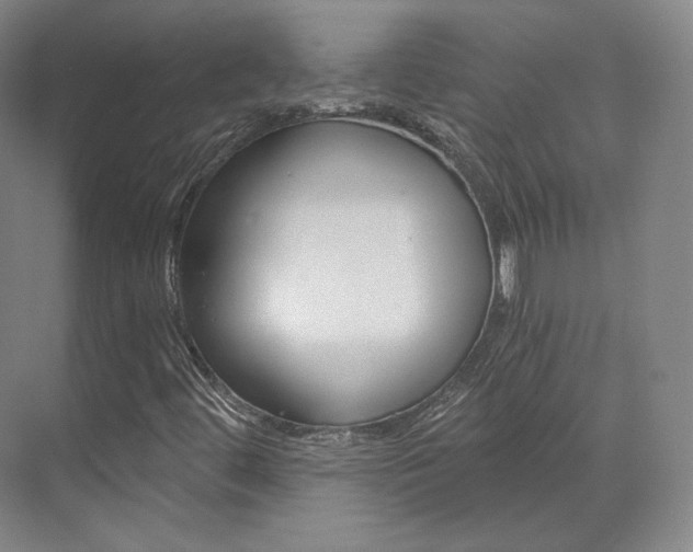 X0000073491444200607310904
