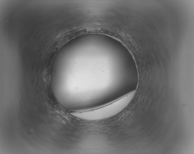 X0000073491445200607310904