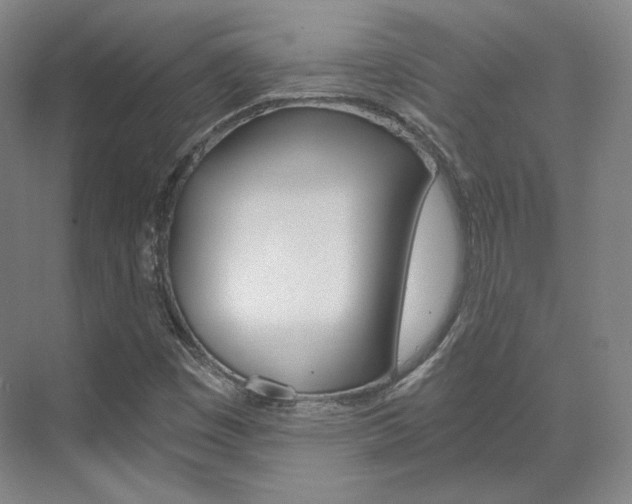 X0000073491449200607310904