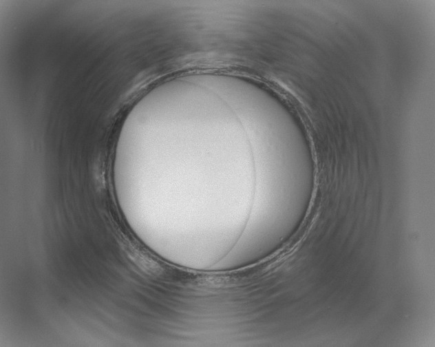 X0000073491451200607310904
