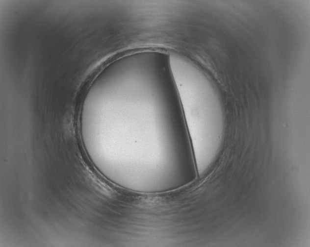 X0000073491452200607310904