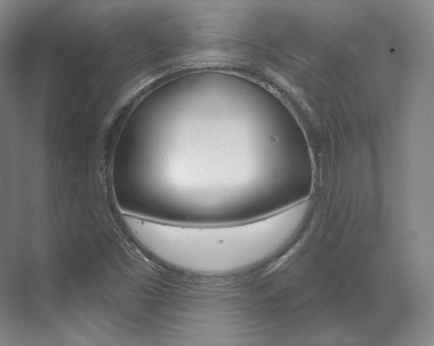 X0000073491453200607310904