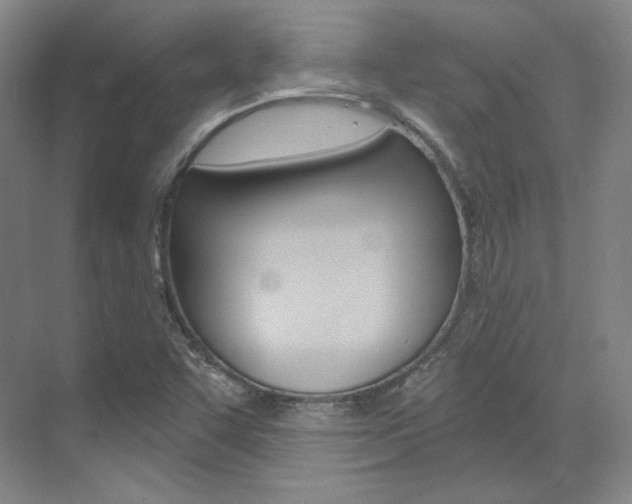 X0000073491455200607310904