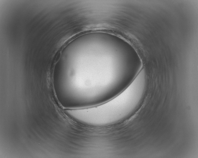 X0000073491457200607310904