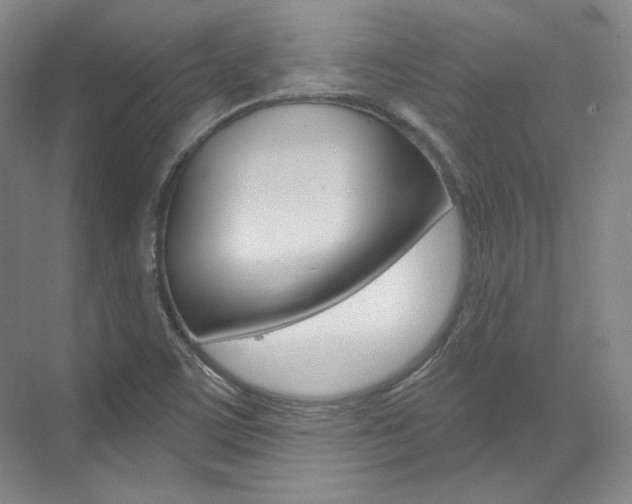 X0000073491459200607310904