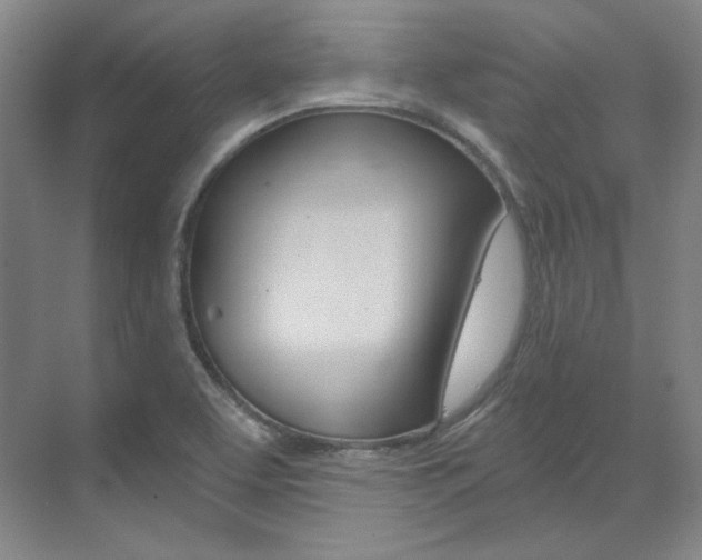 X0000073491463200607310904