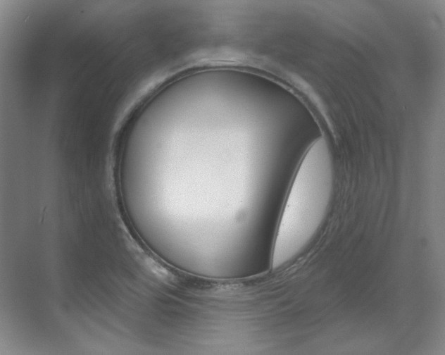 X0000073491464200607310904