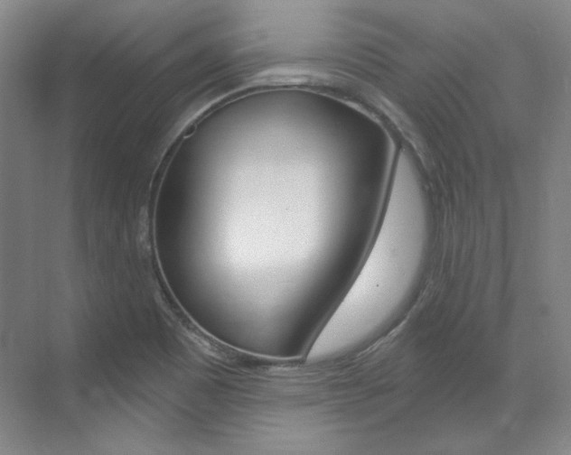 X0000073491465200607310904