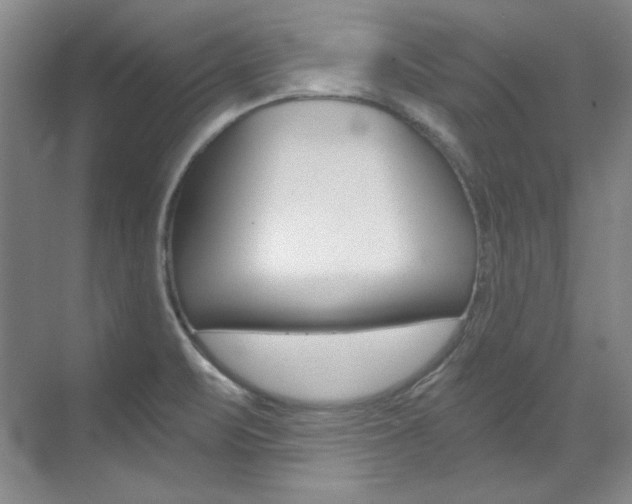 X0000073491471200607310904