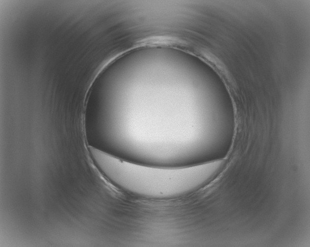 X0000073491473200607310904