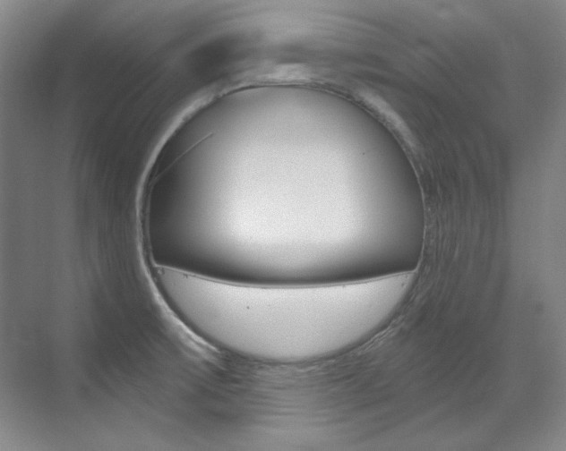 X0000073491475200607310904