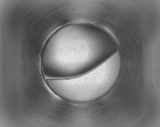 X0000073491476200607310904