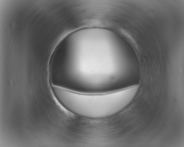 X0000073491479200607310904