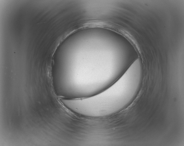 X0000073491481200607310904
