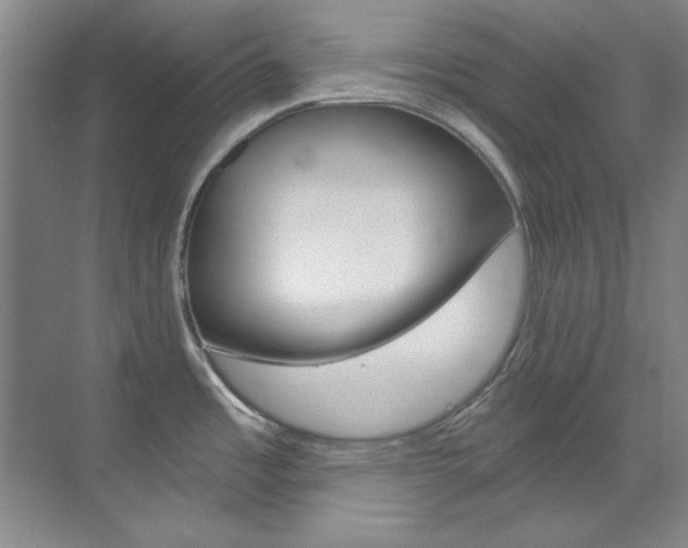 X0000073491485200607310904