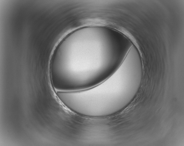 X0000073491488200607310904