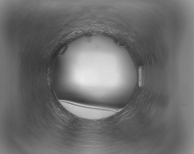 X0000073491491200607310903