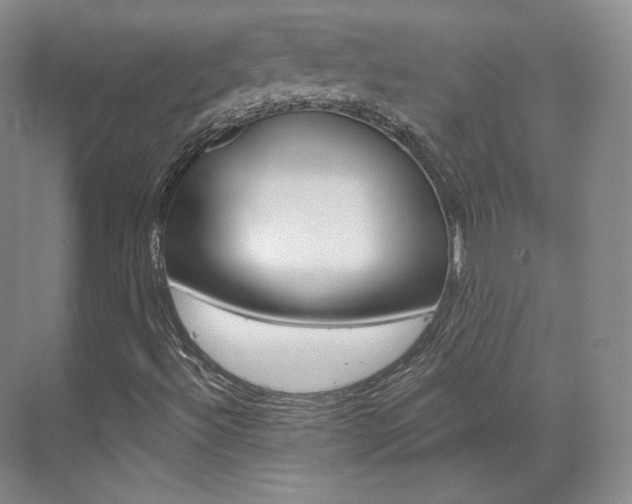 X0000073491492200607310903