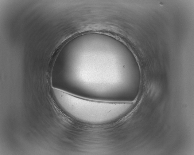 X0000073491497200607310903