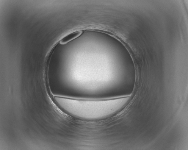 X0000073491500200607310903