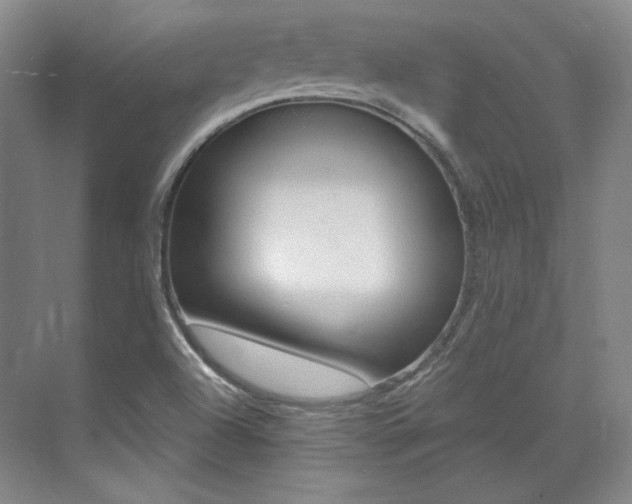 X0000073491504200607310903