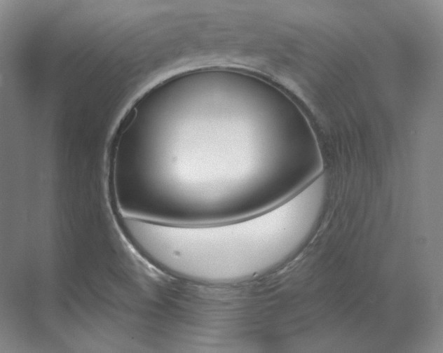 X0000073491508200607310903