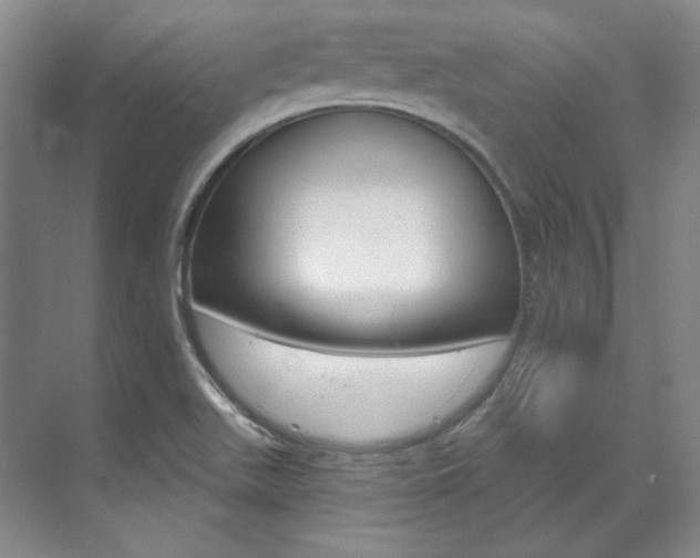 X0000073491511200607310903