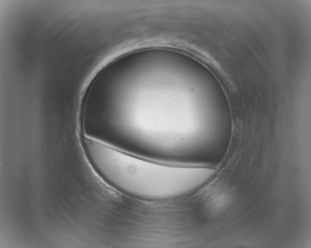 X0000073491512200607310903