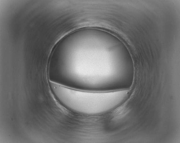 X0000073491513200607310903