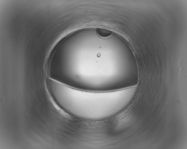 X0000073491515200607310903