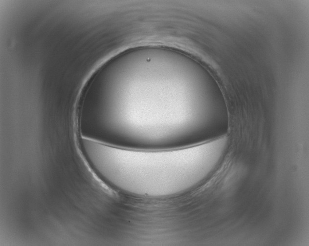 X0000073491517200607310903
