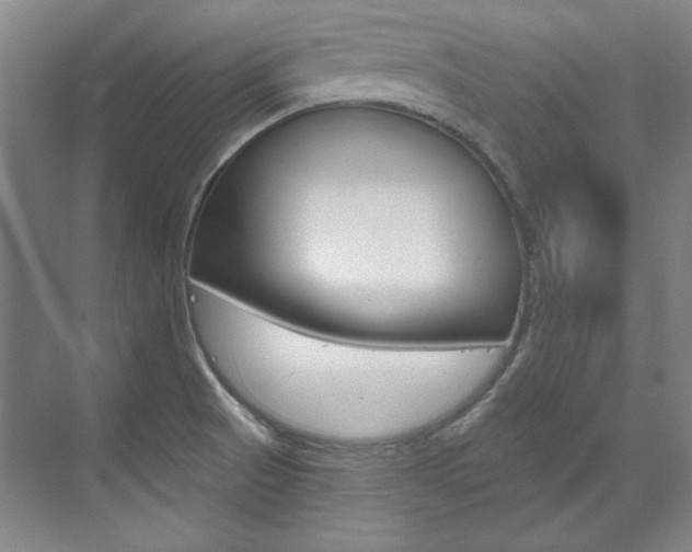 X0000073491521200607310903